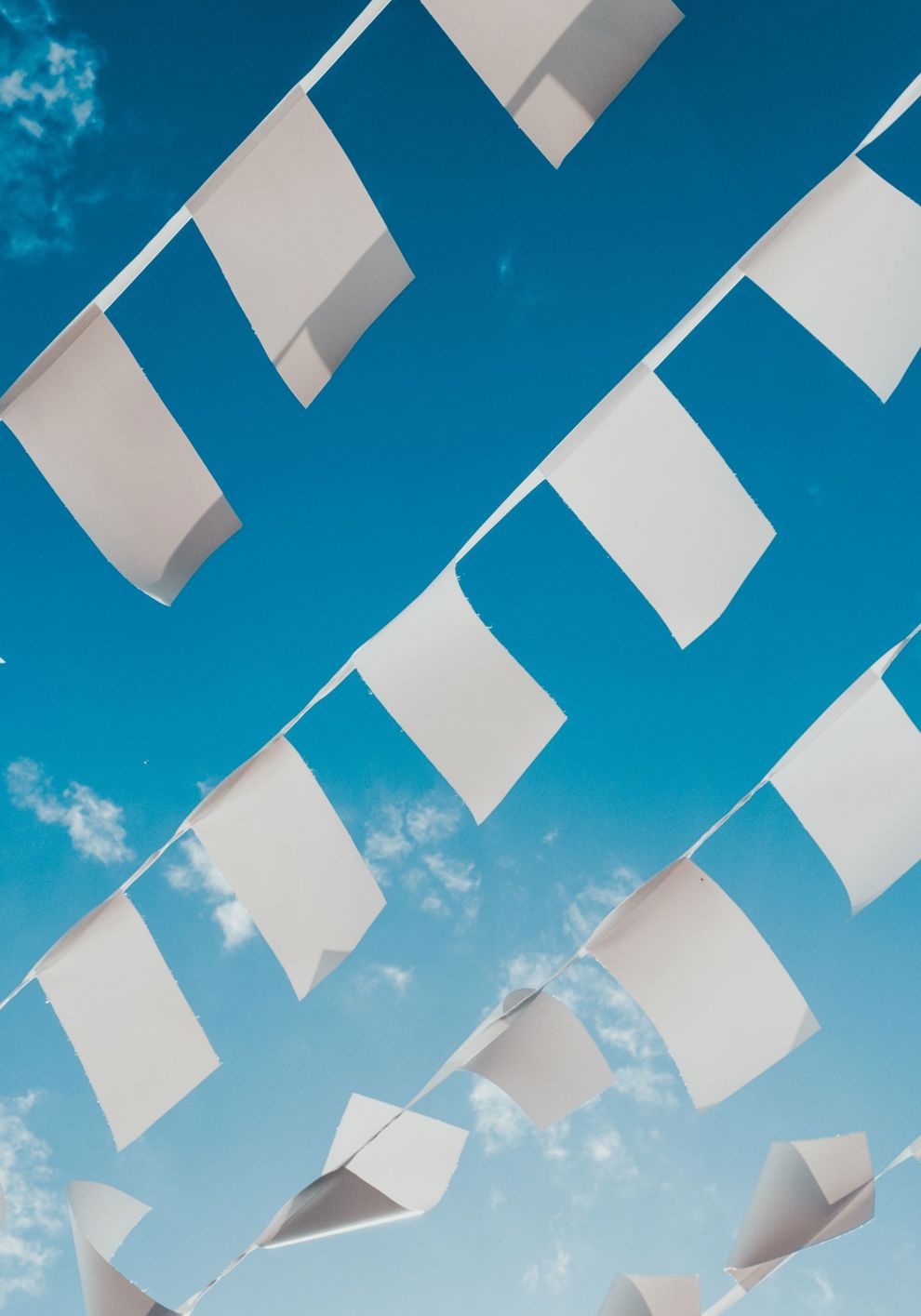 Shaping  government policy to reduce the effect of shipping on climate change and air pollution
