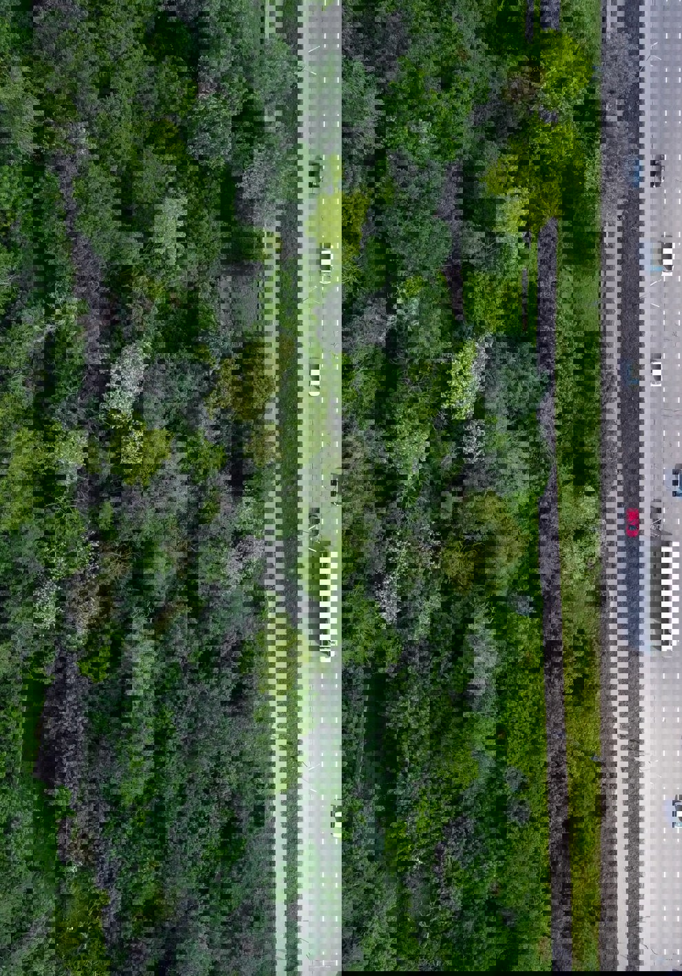 Carbon-neutrality in the European road transport sector: A long road to net-zero?   